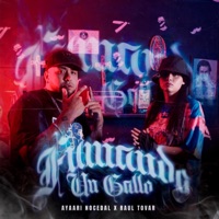 Fumando un gallo (feat. Raul Tovar) - Single - Ayaari Nocedal