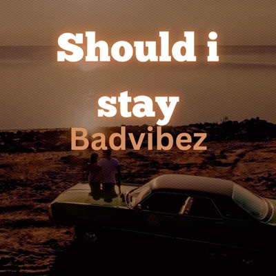 Should I Stay - Single