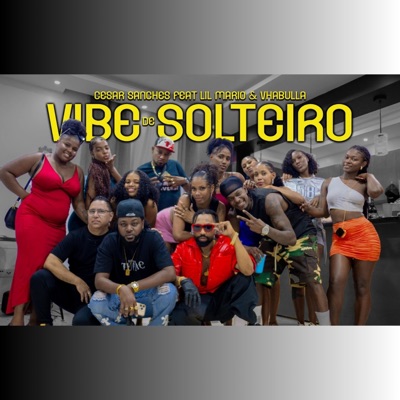 Vibe De Solteiro - Single