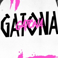 Gatona (feat. J. Books) - Single - Davizin Mc & MC Thzynho