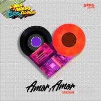 Amor, Amor (Acústico) - Single - Agua Nueva Tropical