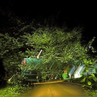 I GOT CAUGHT IN A VENUS FLYTRAP AND SURVIVED - Single - Ghostshaft