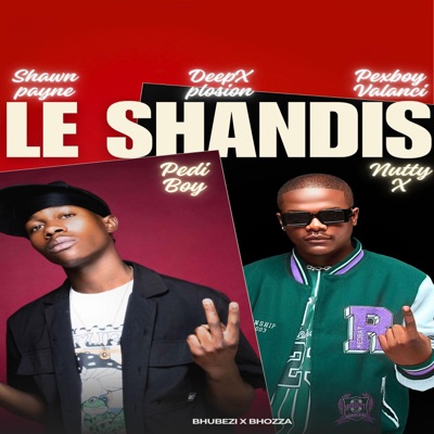 Le shandis (feat. Nutty X, Shawn Payne, DeepXplosion & Valanci Pex) - Single