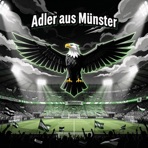Adler aus Münster - Single