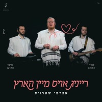 רייניג אויס מיין הארץ - Single - Avrumy Straus