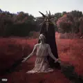I Felt It All