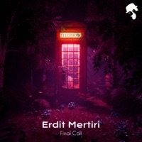 Final Call - Single - Erdit Mertiri