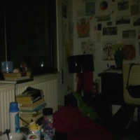 Yellow Tint - Single - les