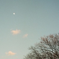 endless quiet - Single - Kurt Stewart & olea