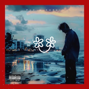 PLZ - Single