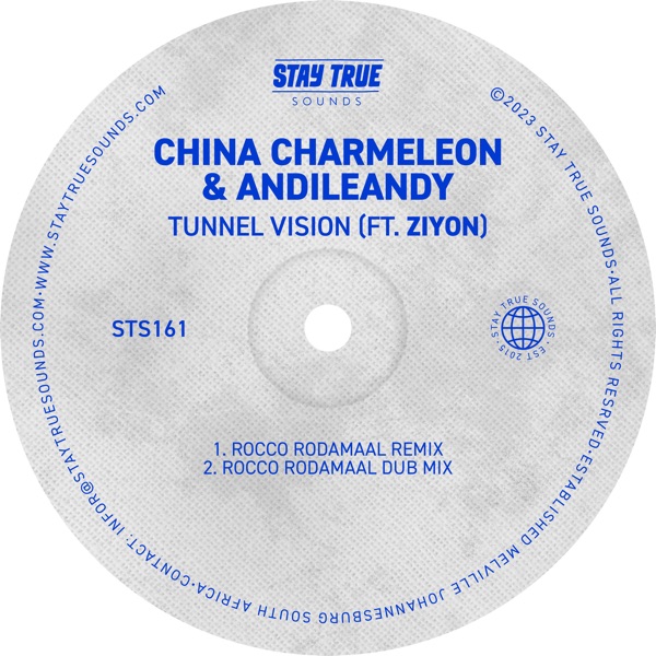Tunnel Vision (feat. Ziyon) [Rocco Rodamaal Remixes] - Single