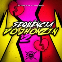 Sequência do Jhonzin 2 - Single - DJ JHONZIN ORIGINAL & MC JHONZIN DA 085