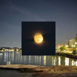 F.Y.S (feat. M.P) Nayte