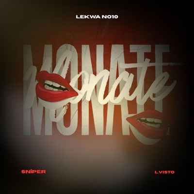Monate (feat. L.Visto) - Single