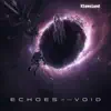 Echoes of the Void