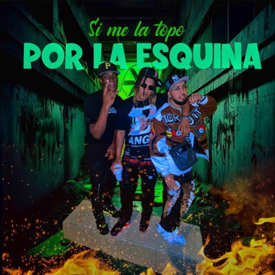 Si me la topo por la esquina (feat. Lirul Panda & Defahiier) - Single