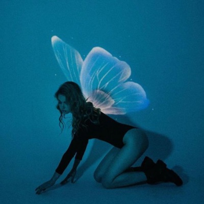 FLY LIKE A BUTTERFLY