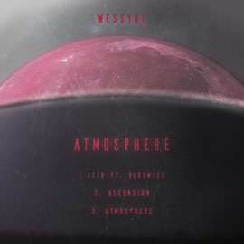 Acid (feat. Vibewise) Wessyde