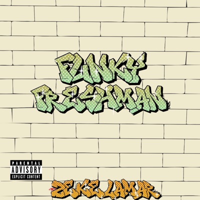 Funky Freshman - Single