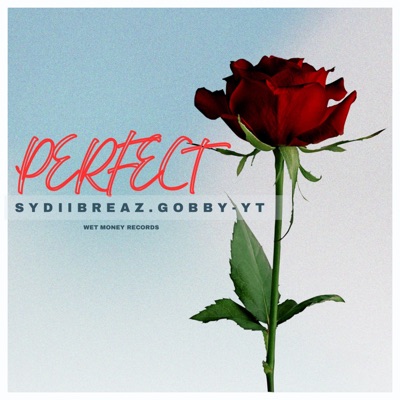 Perfect (feat. Sydiibreaz) - Single