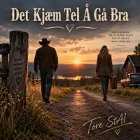 Det Kjæm Tel Å Gå Bra — Tore Stai