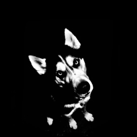 Staring EGאֵלִיָּהוּ