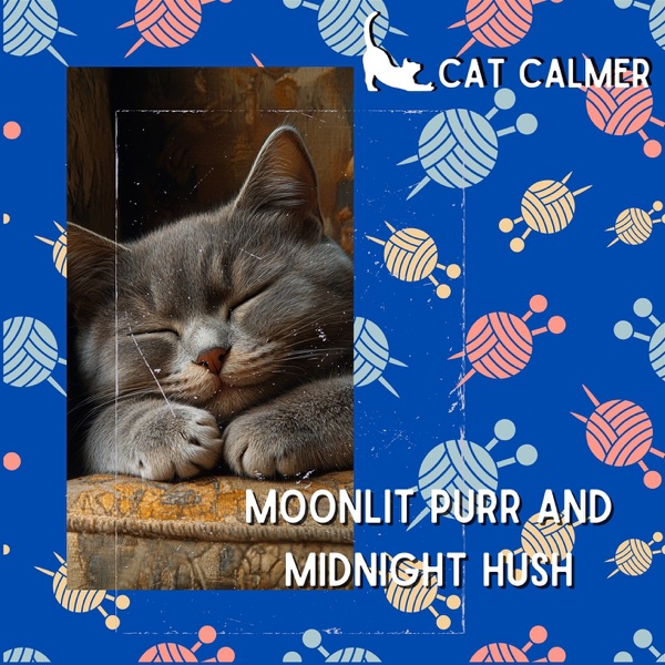 Moonlit Purr and Midnight Hush
