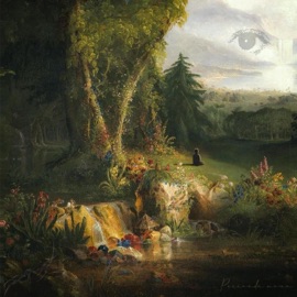 TF woody, toto & YBF