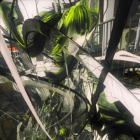 she knows - Single - Dynasty, shlain & seph