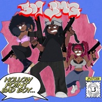 Hollow Point Bad Boy - 509 BMG