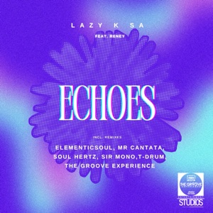 Echoes (feat. Reney) [Elementicsoul Signature Remix]