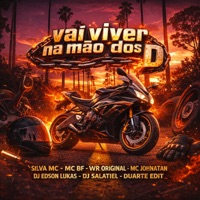 Vai Viver na Mão dos D (feat. MC BF & Mc Johnatan ZS) - Single - Silva MC & WR ORIGINAL