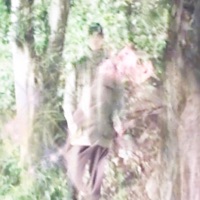 efímero - Single - GYANO