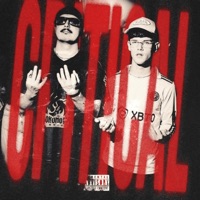 Critical - Single - OG Basa & Defy Def