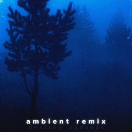Destroy Sadness (Ambient Remix) monrxe & Pr1nce666
