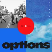 Options — Hembree