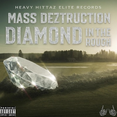 Diamond In The Rough - Single