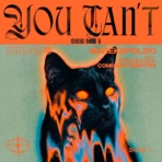 You Can't See Me