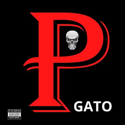 Hör dir „P“ von Gato an