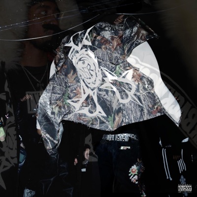 Diligence Prod DSR - EP