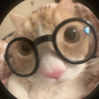 cant be us - Single - Oncite