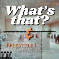 What's that/ Freestyle 1 (feat. Young Scammer) - Single - TheHomieGabe
