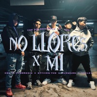 NO LLORES X MI (feat. CDL OFICIAL, YvngRegio, Sttiven THS, HUXLEY & ALEMARS) - Single - CDL RECORDS