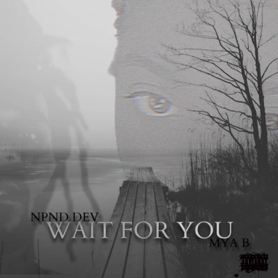 Wait For You (feat. MYA B) - Single