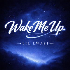 Wake Me Up - Single
