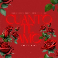 Cuanto Te Amo - Single - Erre & Bass