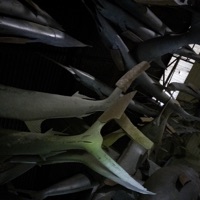 Live at Club Mopasa - Ssifoo