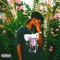 Abandoned (feat. Paccstar) - SellyVibez lyrics