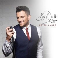 Big Night - Single - Peter Andre
