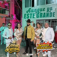 Aunque Ya Este Grande - Single - La Sonora Dinamita de Lucho Argain y Xiu Garcia & Meño Segovia